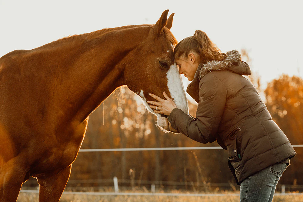Elevate Your Horse's Potential